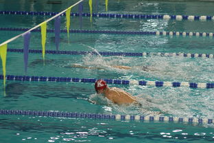 九游体育平台官网-自由泳预赛突尼斯多人晋级，自由泳2021